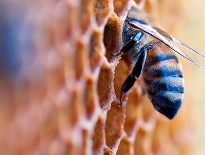 Fondos de inversión Fondos de inversión